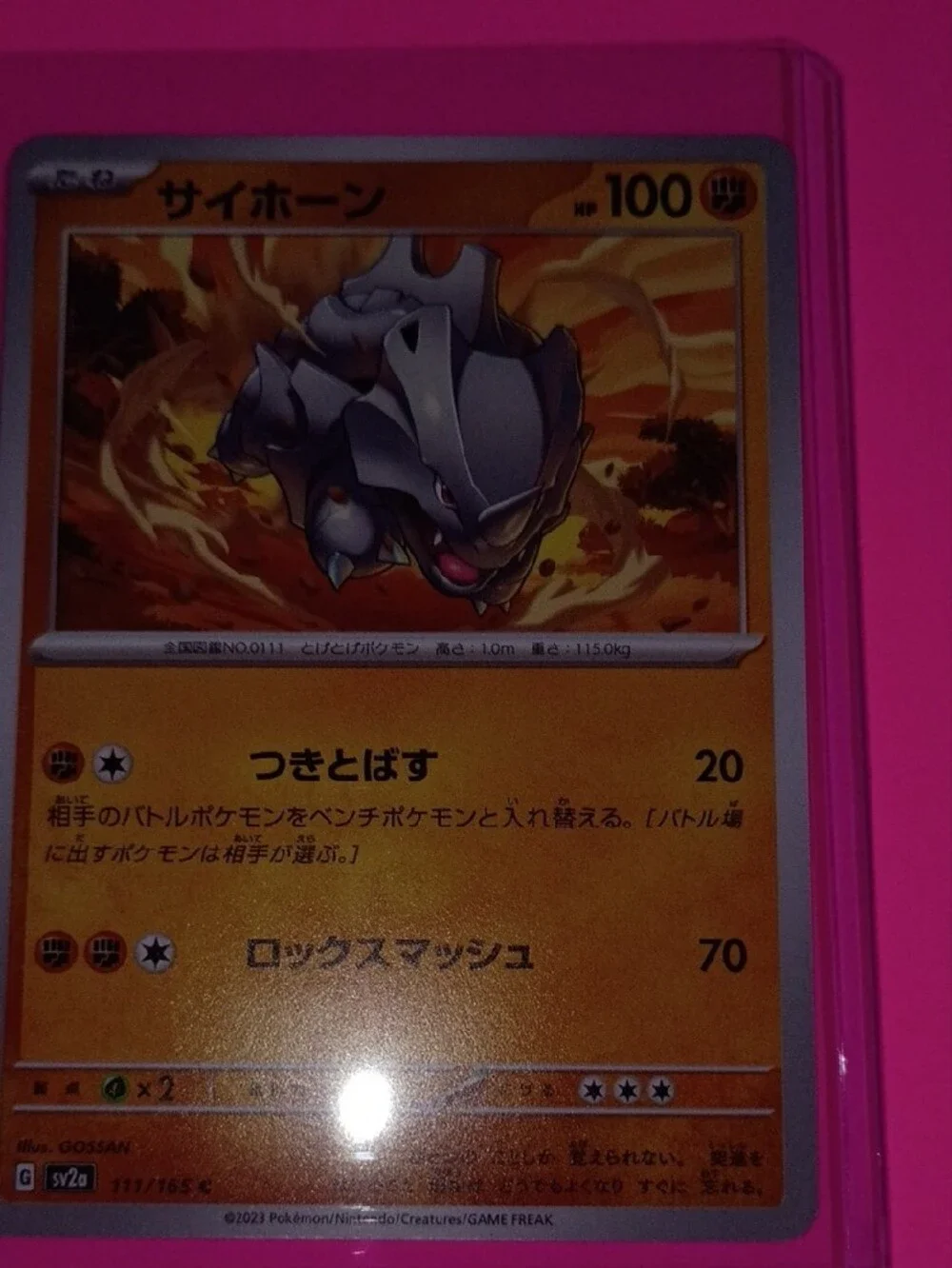 Pokémon Card Lot